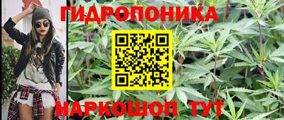ешки Краснодар