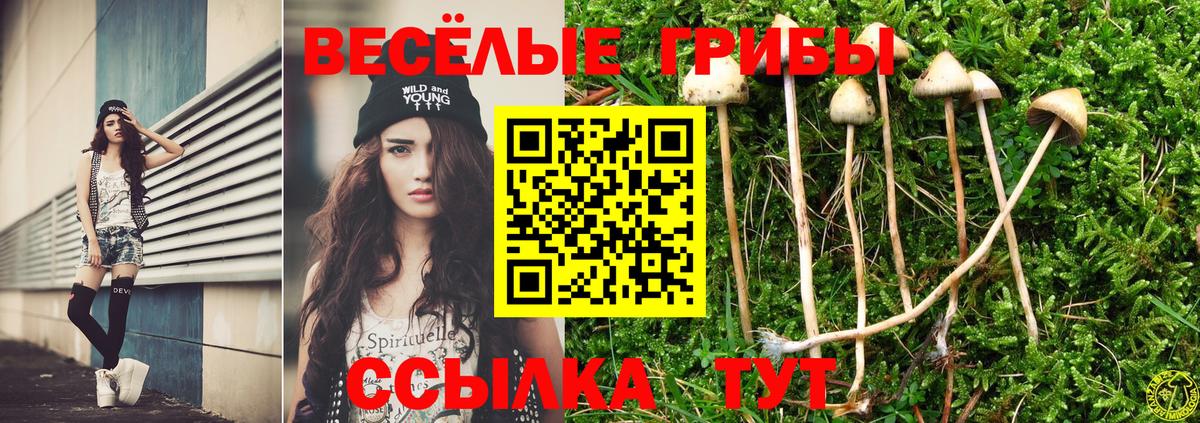 Псилоцибиновые грибы ЛСД Зима