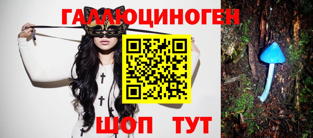 Зима  Псилоцибиновые грибы Cubensis  Вход с VPN 